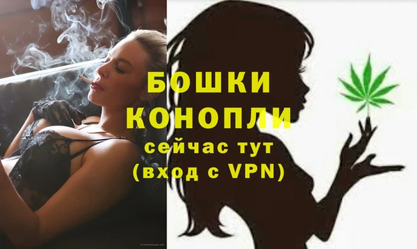 Альфа ПВП Аркадак